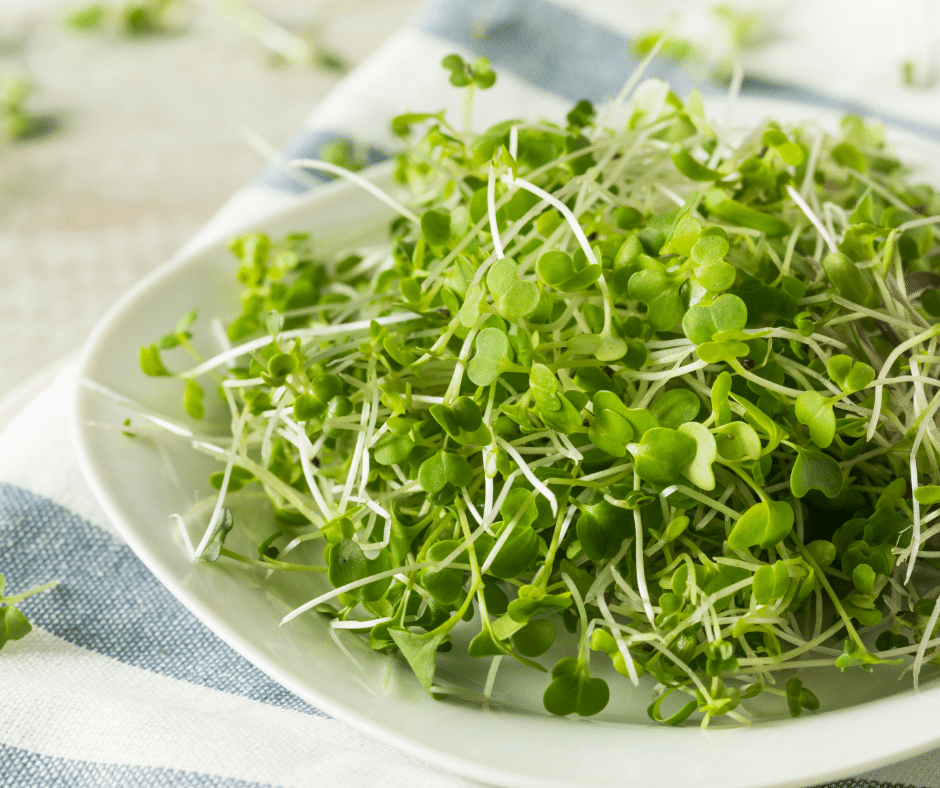 The Benefits Of Microgreens And How To Grow Them